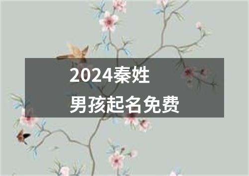 2024秦姓男孩起名免费