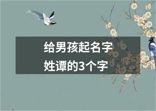 给男孩起名字姓谭的3个字