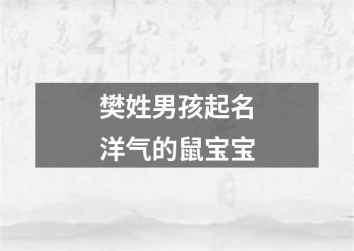 樊姓男孩起名洋气的鼠宝宝