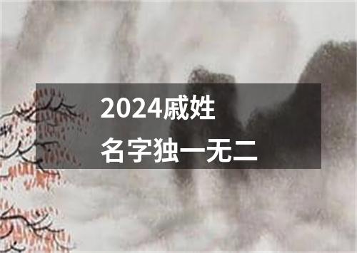 2024戚姓名字独一无二