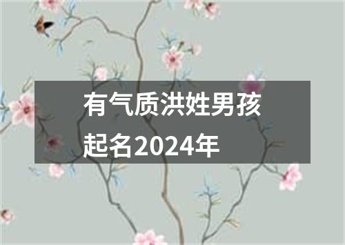 有气质洪姓男孩起名2024年