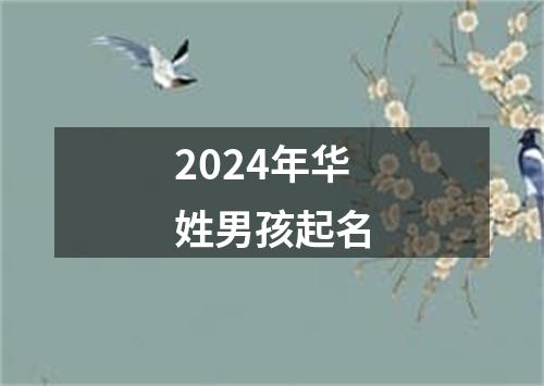 2024年华姓男孩起名