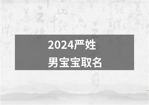 2024严姓男宝宝取名