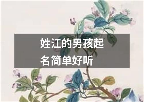 姓江的男孩起名简单好听