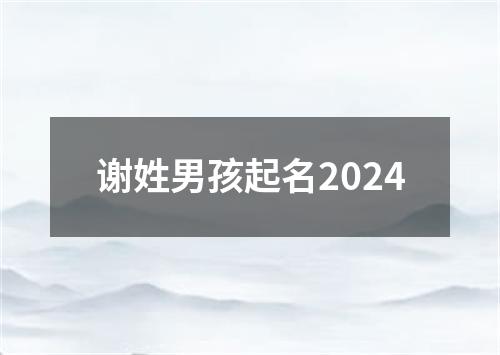 谢姓男孩起名2024