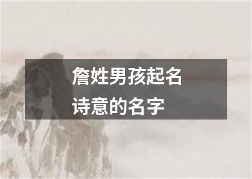 詹姓男孩起名诗意的名字