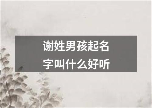 谢姓男孩起名字叫什么好听