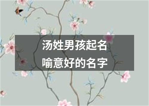 汤姓男孩起名喻意好的名字