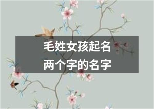 毛姓女孩起名两个字的名字