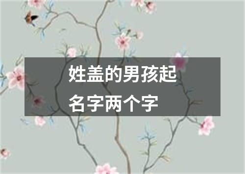 姓盖的男孩起名字两个字