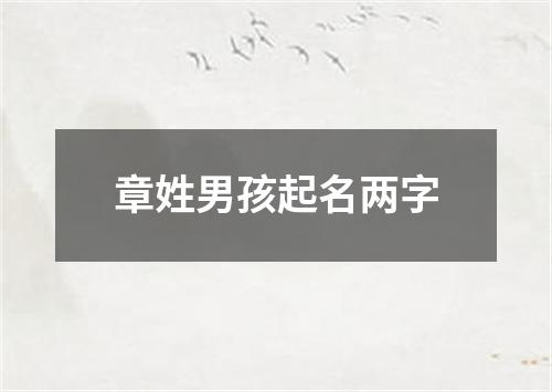 章姓男孩起名两字