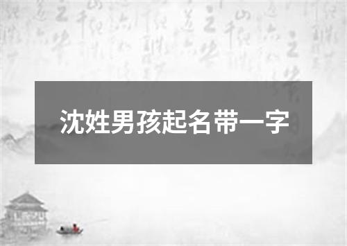 沈姓男孩起名带一字