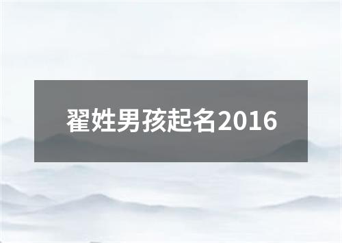 翟姓男孩起名2016