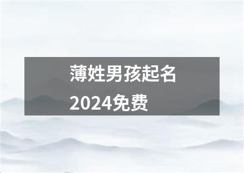 薄姓男孩起名2024免费