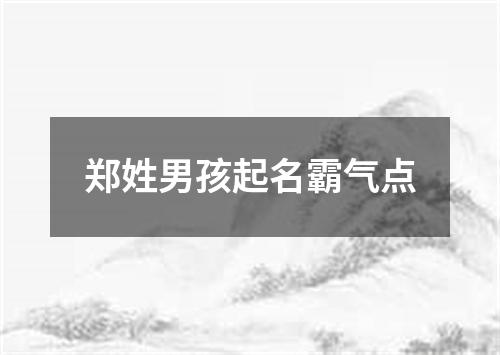 郑姓男孩起名霸气点