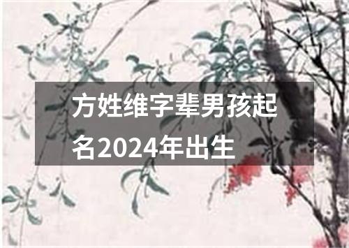 方姓维字辈男孩起名2024年出生