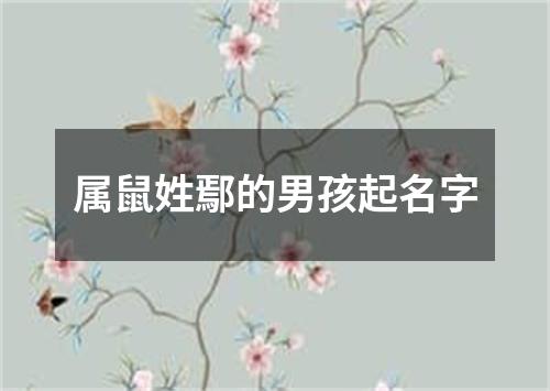 属鼠姓鄢的男孩起名字