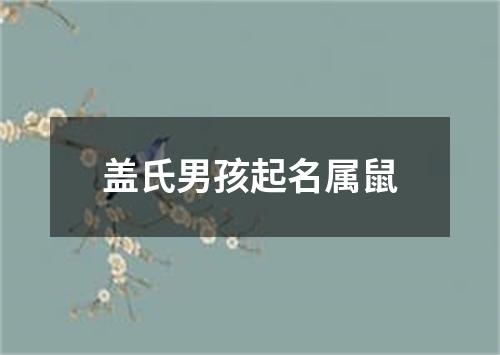 盖氏男孩起名属鼠