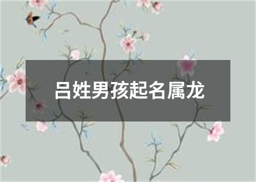 吕姓男孩起名属龙