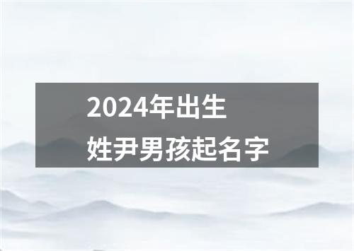 2024年出生姓尹男孩起名字