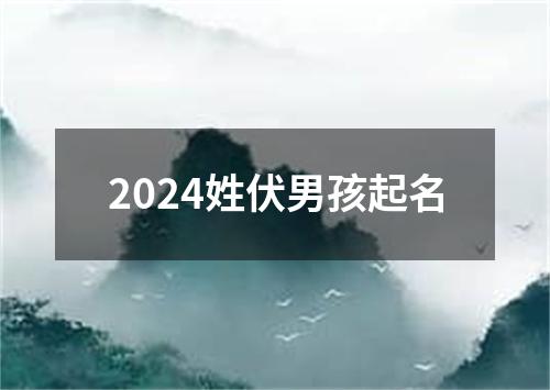 2024姓伏男孩起名