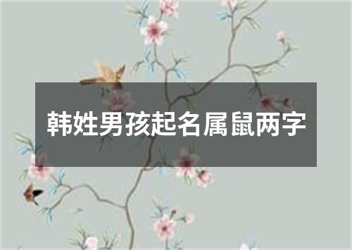 韩姓男孩起名属鼠两字