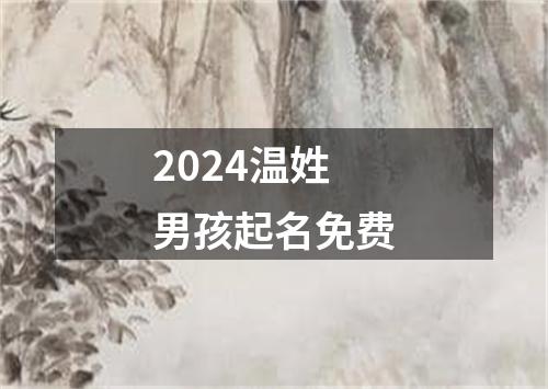 2024温姓男孩起名免费