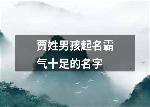 贾姓男孩起名霸气十足的名字