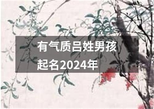 有气质吕姓男孩起名2024年