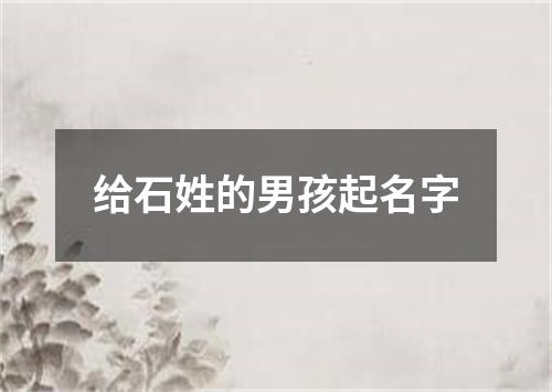 给石姓的男孩起名字