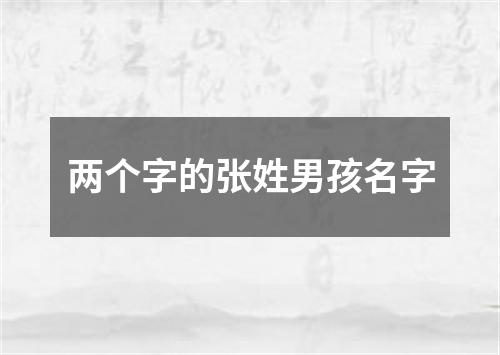 两个字的张姓男孩名字