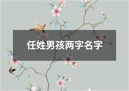 任姓男孩两字名字