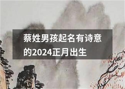 蔡姓男孩起名有诗意的2024正月出生