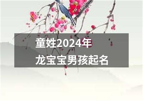 童姓2024年龙宝宝男孩起名