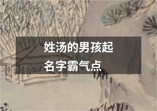 姓汤的男孩起名字霸气点