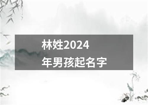 林姓2024年男孩起名字