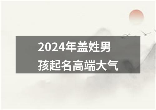 2024年盖姓男孩起名高端大气