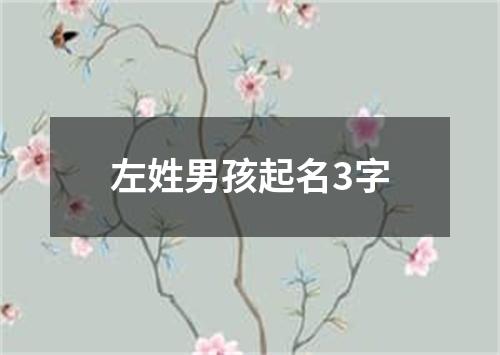 左姓男孩起名3字