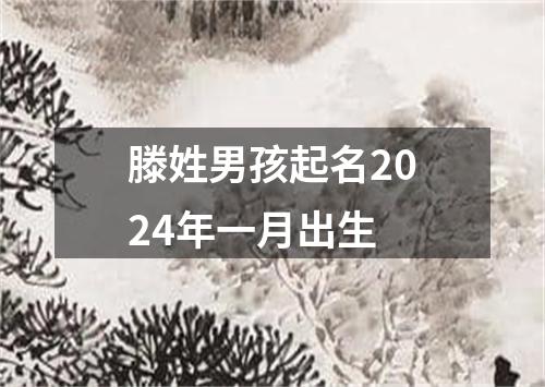 滕姓男孩起名2024年一月出生