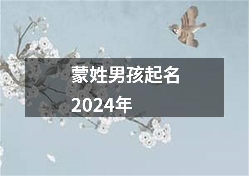 蒙姓男孩起名2024年