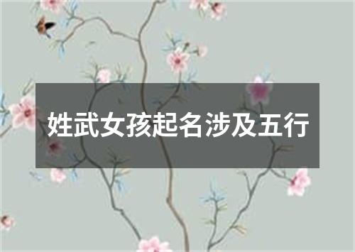 姓武女孩起名涉及五行