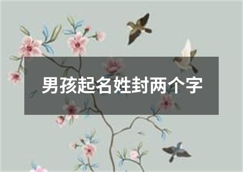 男孩起名姓封两个字