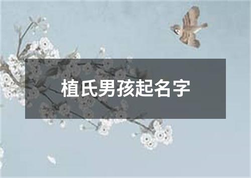 植氏男孩起名字