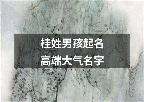 桂姓男孩起名高端大气名字