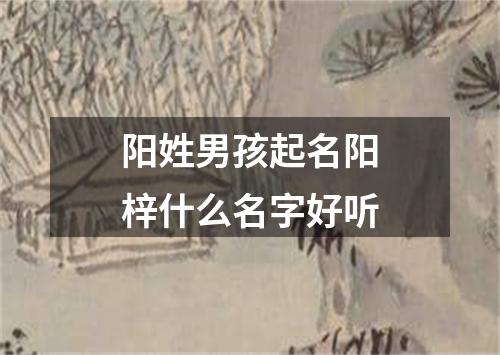 阳姓男孩起名阳梓什么名字好听