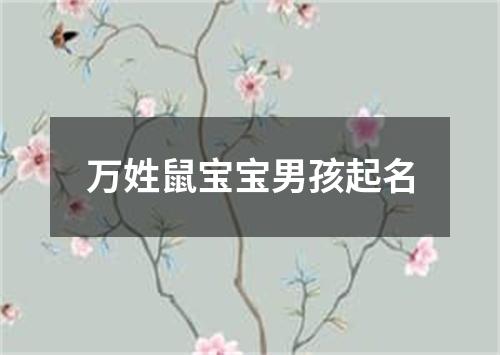 万姓鼠宝宝男孩起名