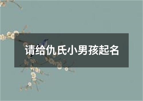 请给仇氏小男孩起名