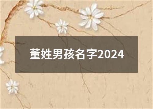 董姓男孩名字2024