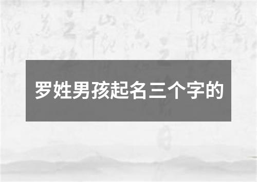 罗姓男孩起名三个字的