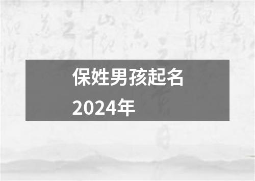 保姓男孩起名2024年